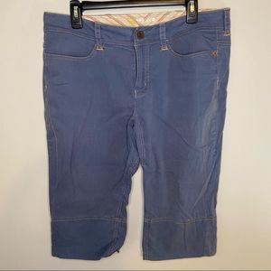 Mountain Hardwear Blue Bermuda Shorts 10